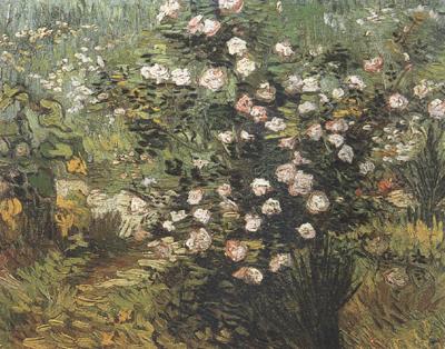 Rosebush in Blossom (nn04), Vincent Van Gogh